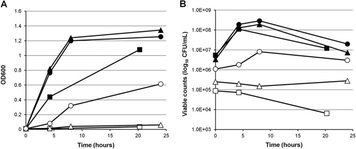 FIG 1