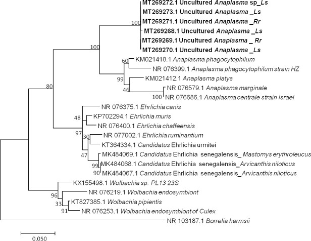 Fig 3