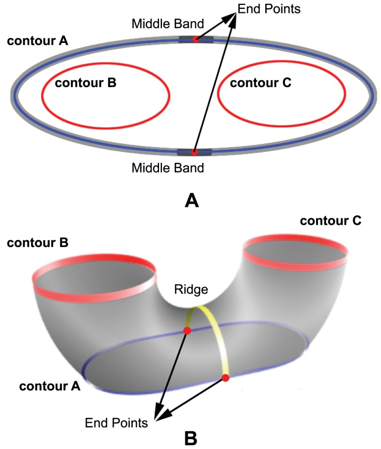 Figure 8