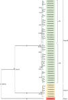 Fig 6