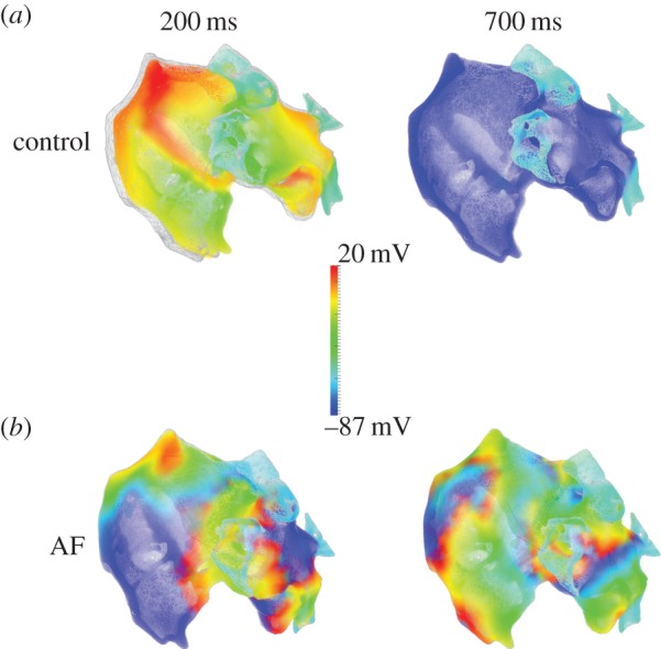 Figure 1.