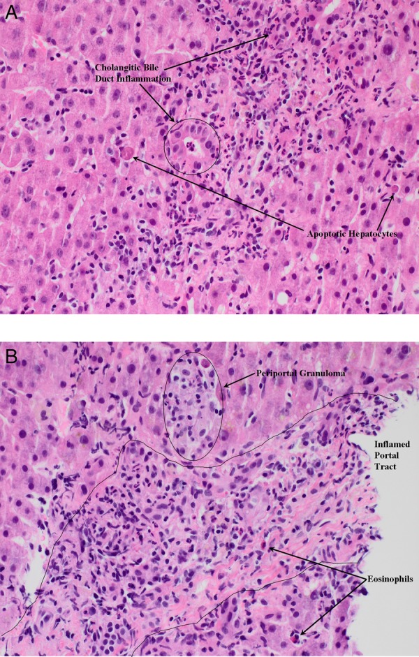 Figure 2