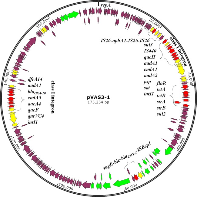 FIG 1