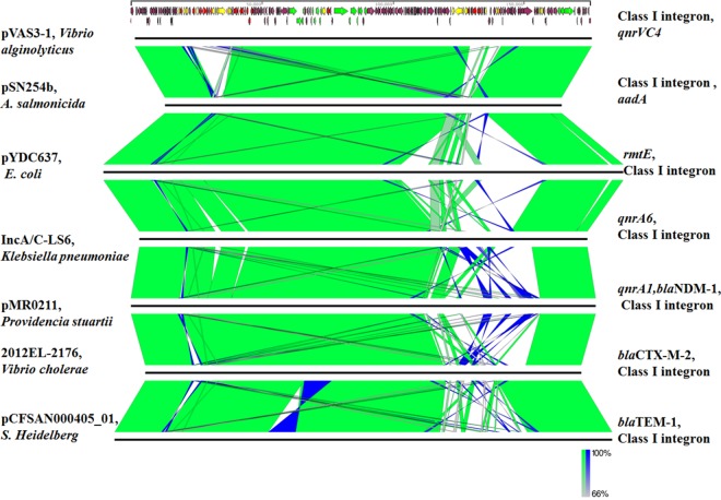 FIG 2