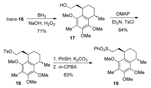 Scheme 4