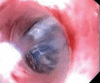 Fig. 1: