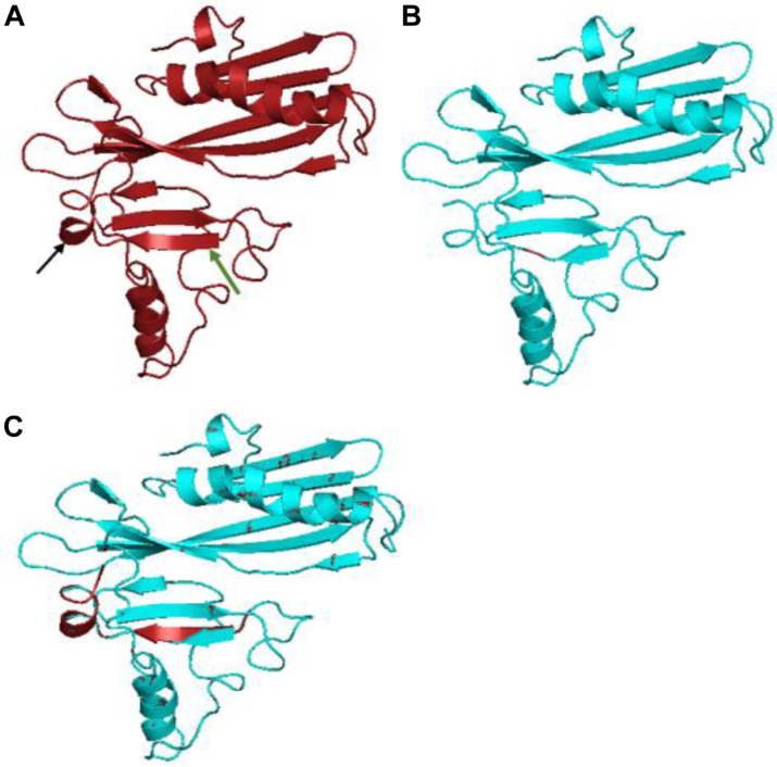 Fig. 3