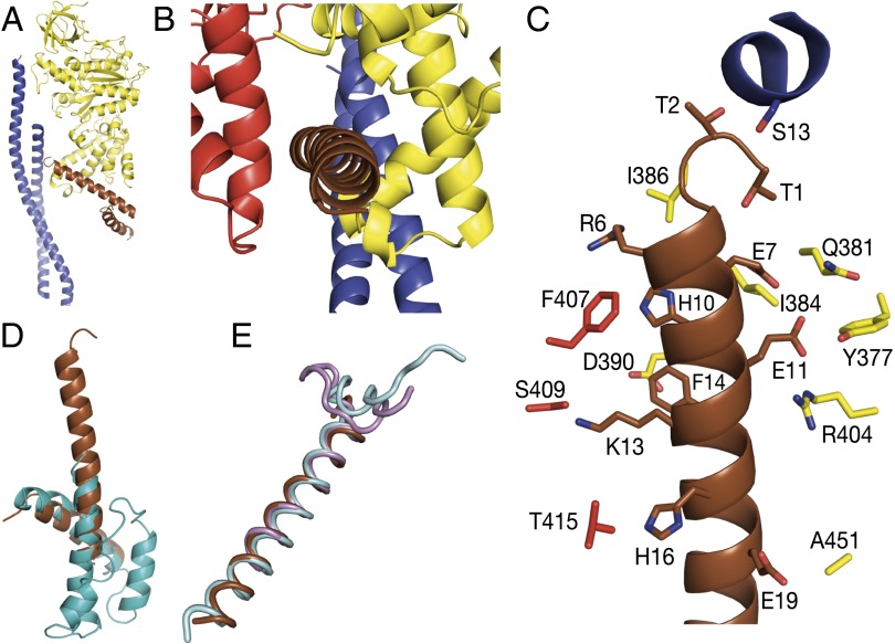 Fig. 2.