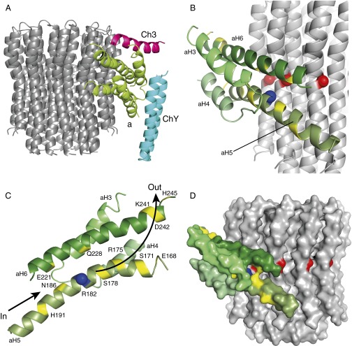 Fig. 4.