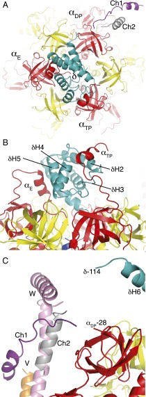 Fig. 3.