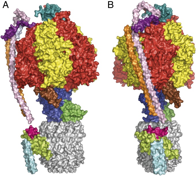 Fig. 1.