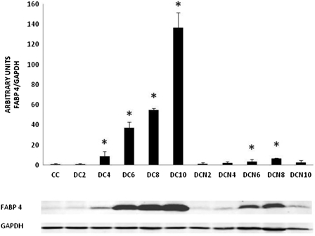 Figure 5.