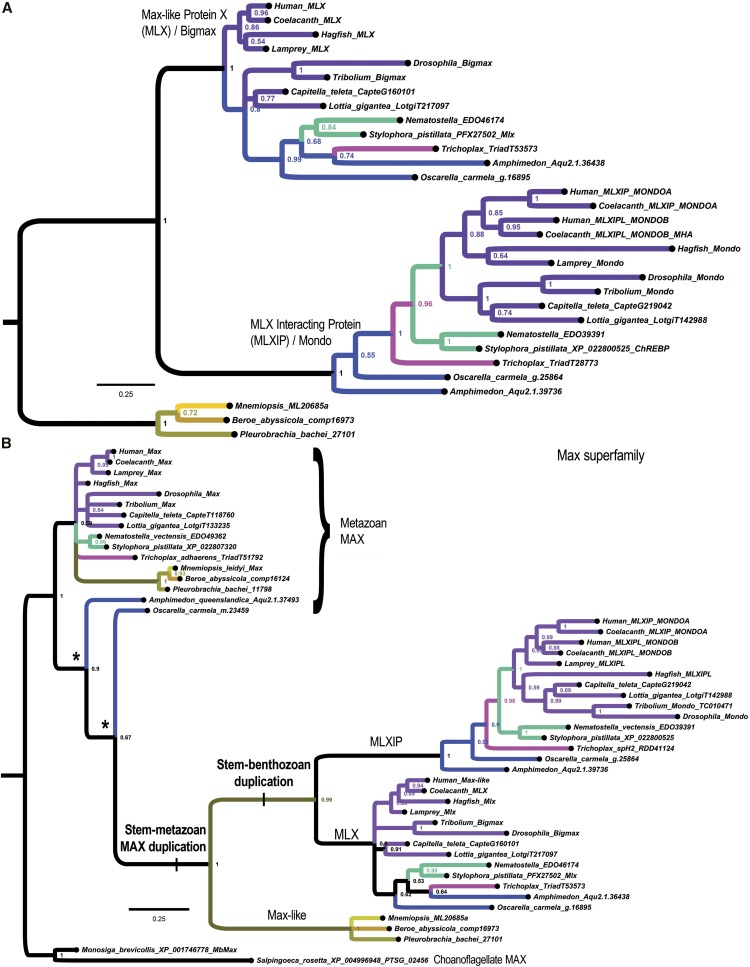 Figure 6