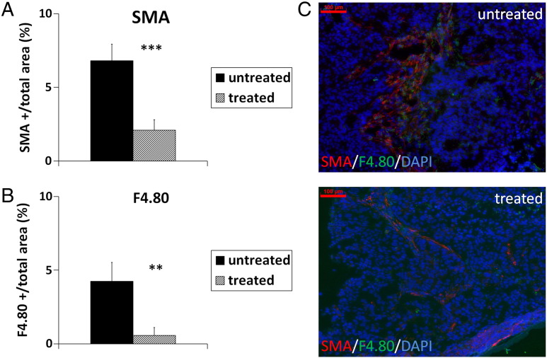 Figure 6