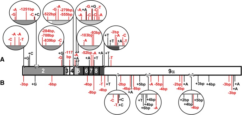 Fig. 5