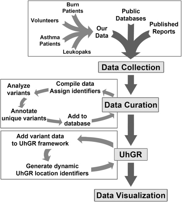 Fig. 7