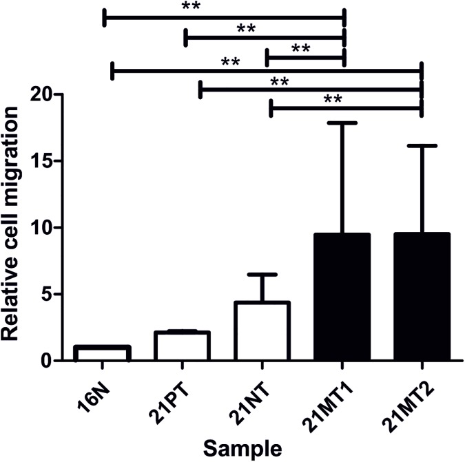 Fig 4