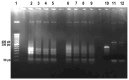 Fig 5