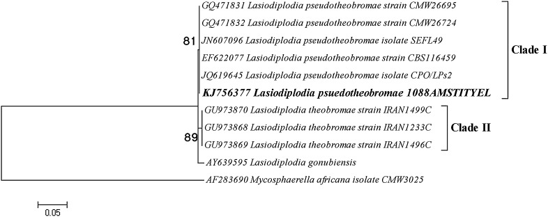 Fig. 4