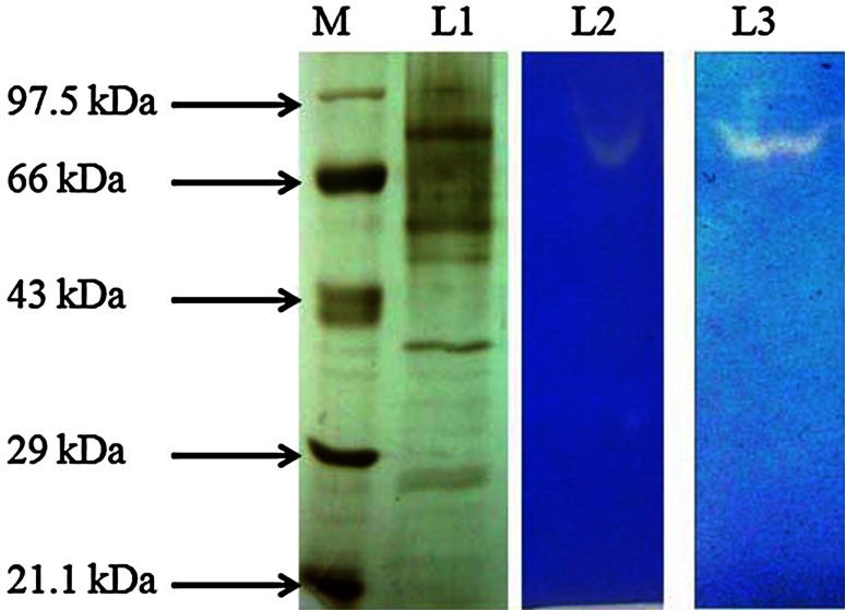 Fig. 3