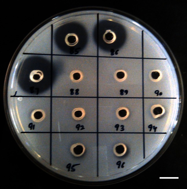 Fig. 1