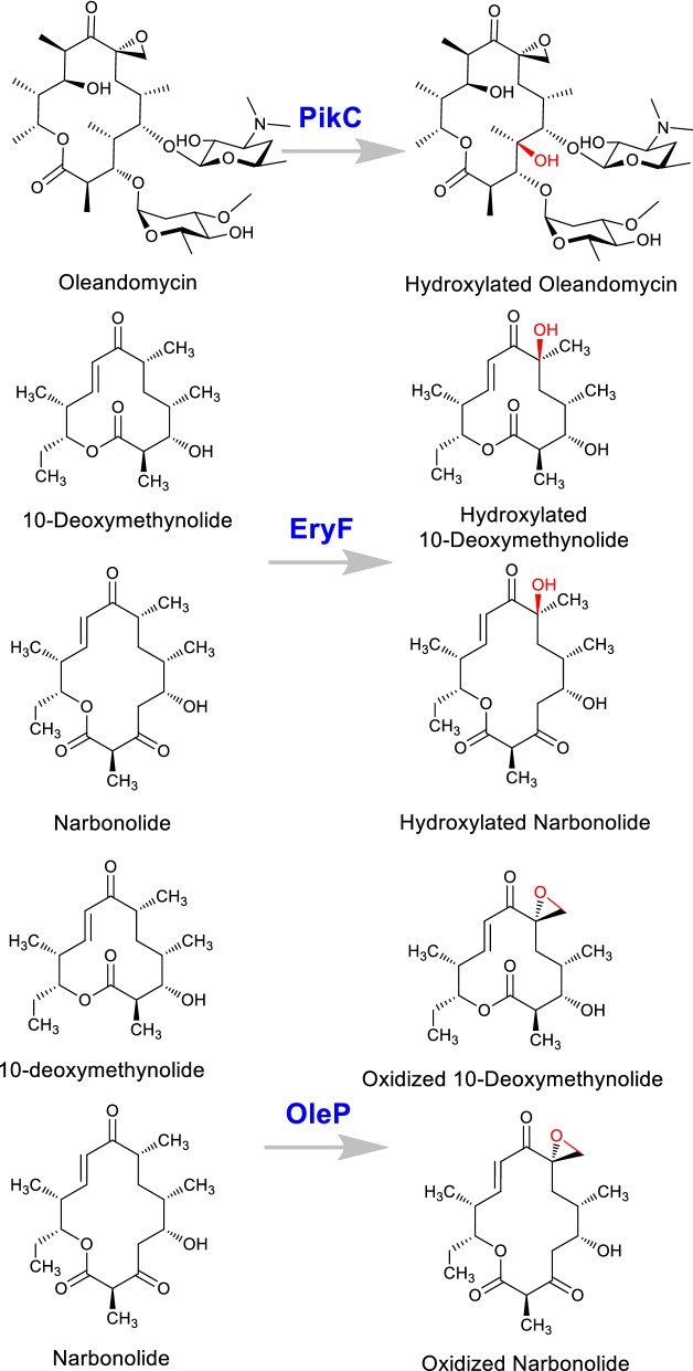 Fig. 6