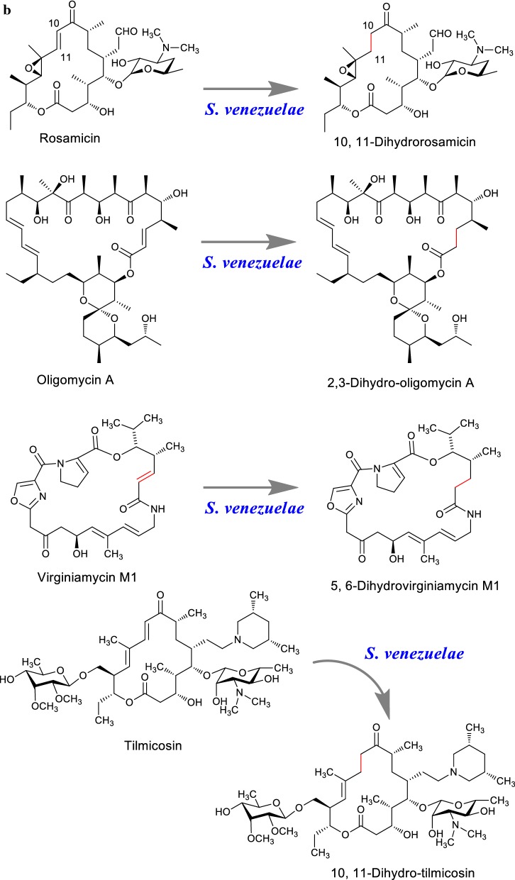 Fig. 9