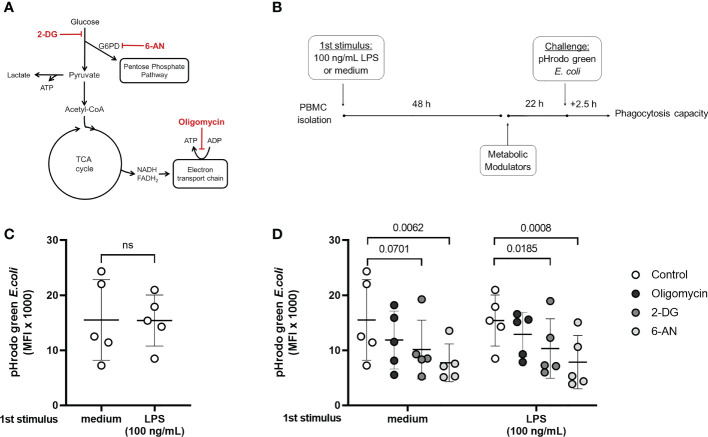 Figure 4