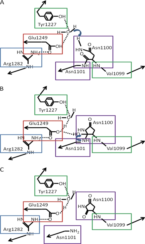 FIGURE 1.