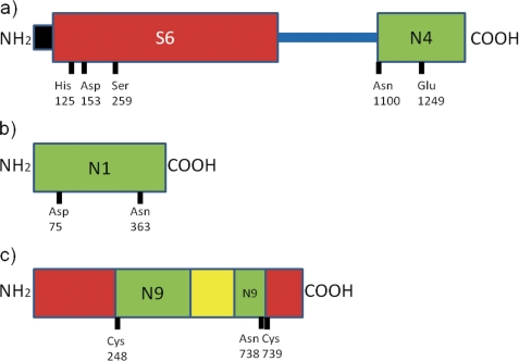 FIGURE 3.