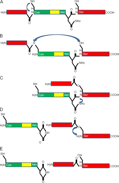 FIGURE 4.