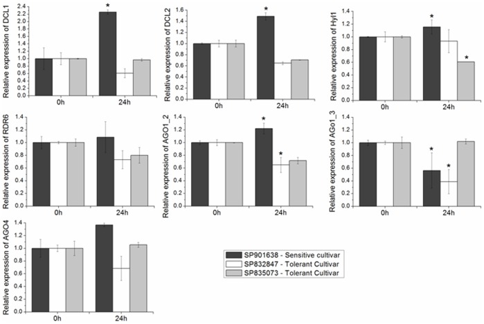 Figure 10