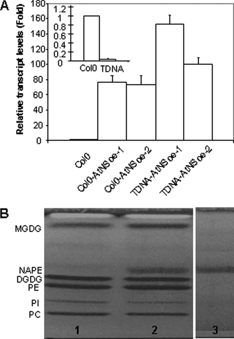 FIGURE 3.