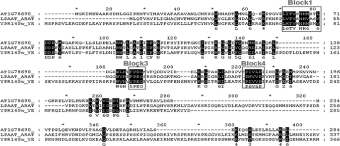 FIGURE 1.