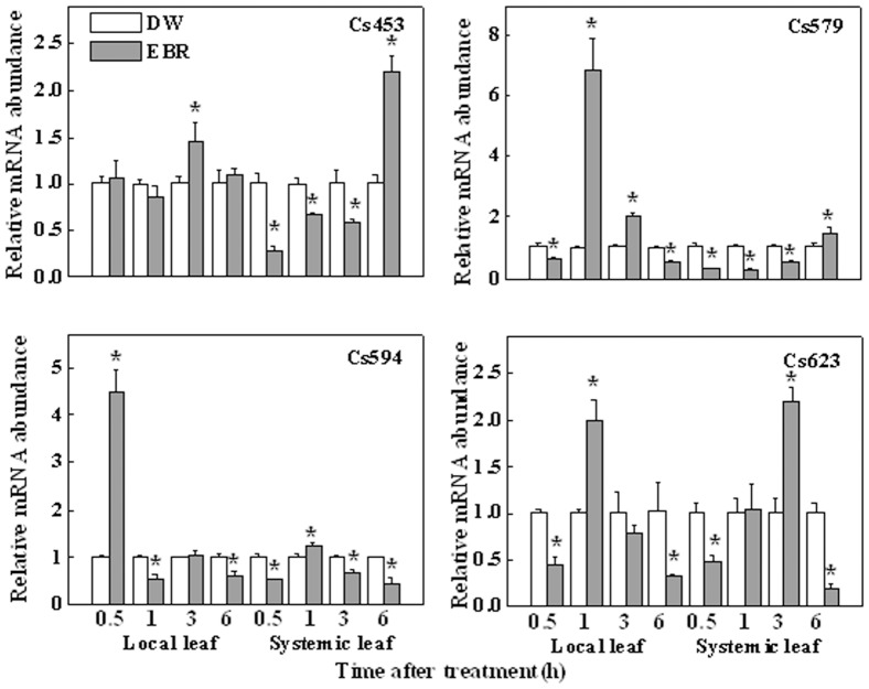 Figure 4