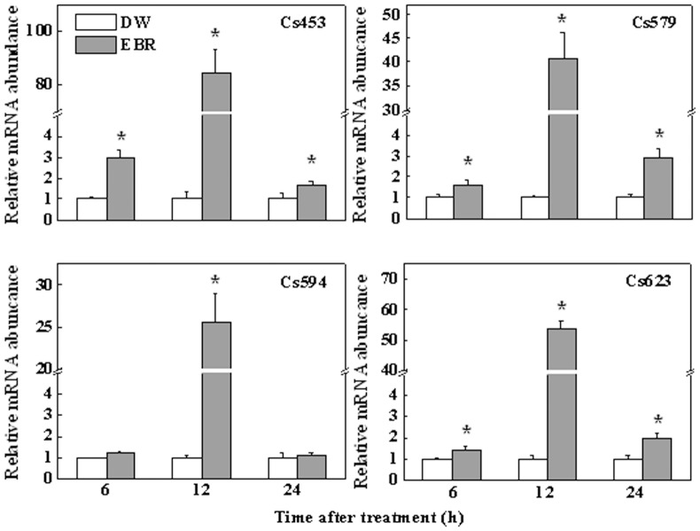 Figure 5