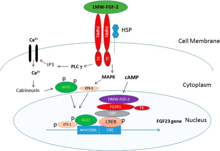 FIGURE 7.