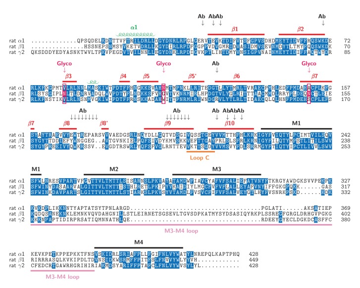 Figure 1—figure supplement 7.