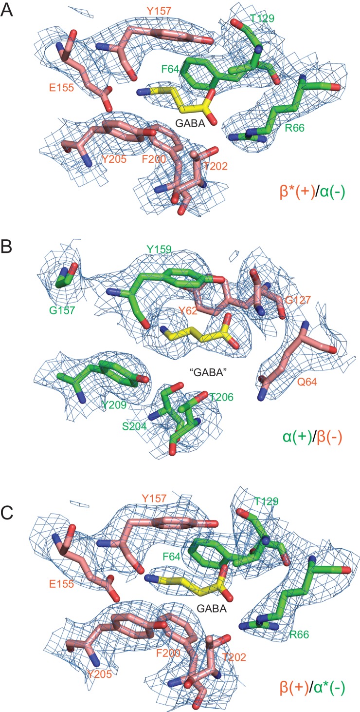 Figure 3—figure supplement 2.