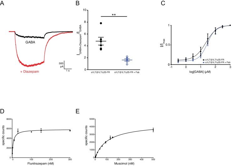 Figure 1—figure supplement 3.