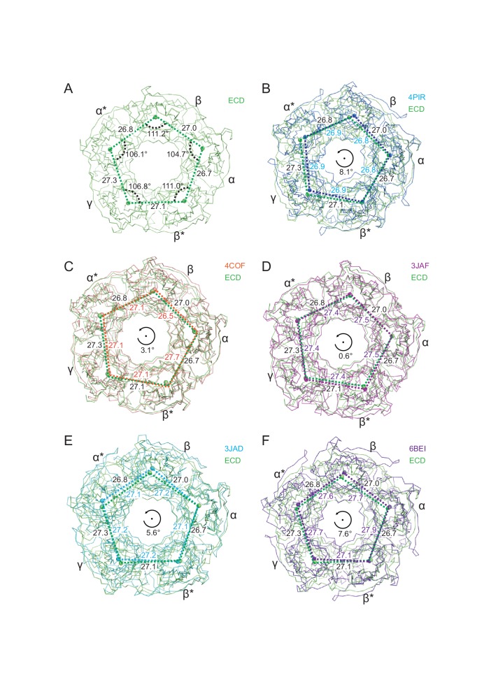 Figure 3—figure supplement 1.