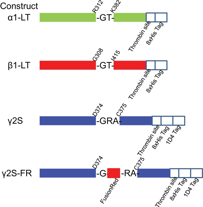 Figure 1—figure supplement 1.