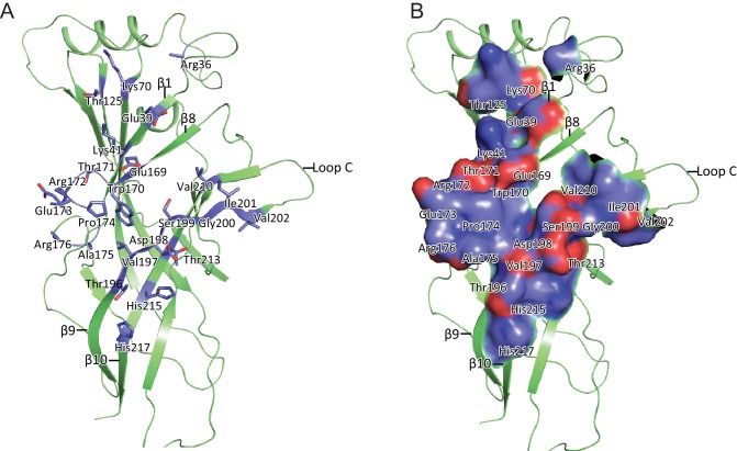 Figure 1—figure supplement 8.