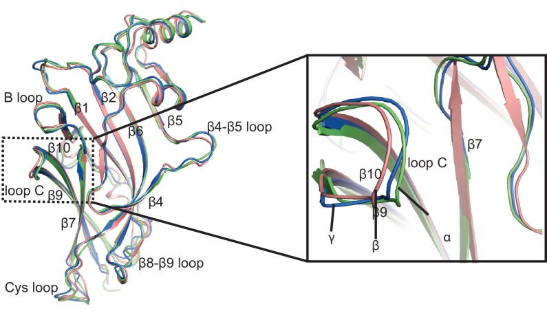 Figure 3—figure supplement 3.