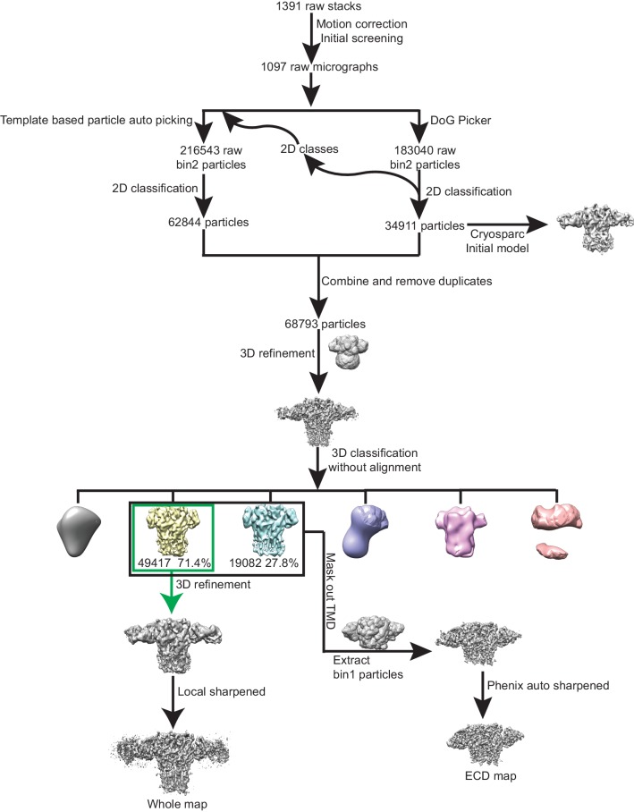 Figure 1—figure supplement 4.