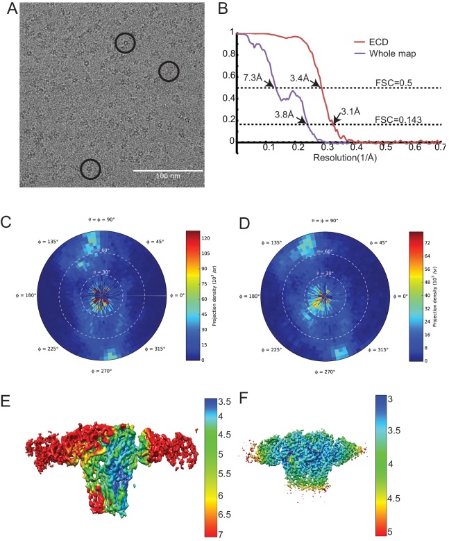 Figure 1—figure supplement 5.