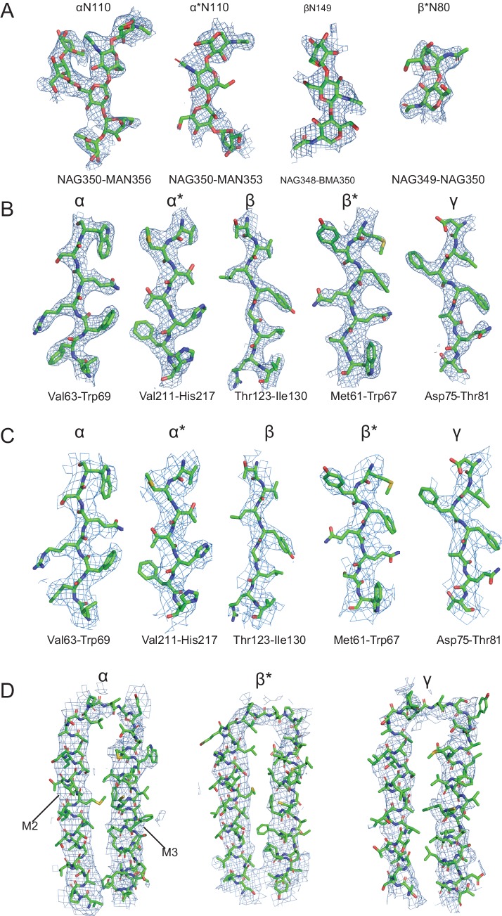 Figure 1—figure supplement 6.