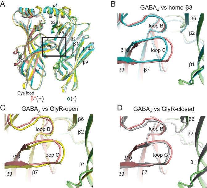 Figure 3—figure supplement 4.