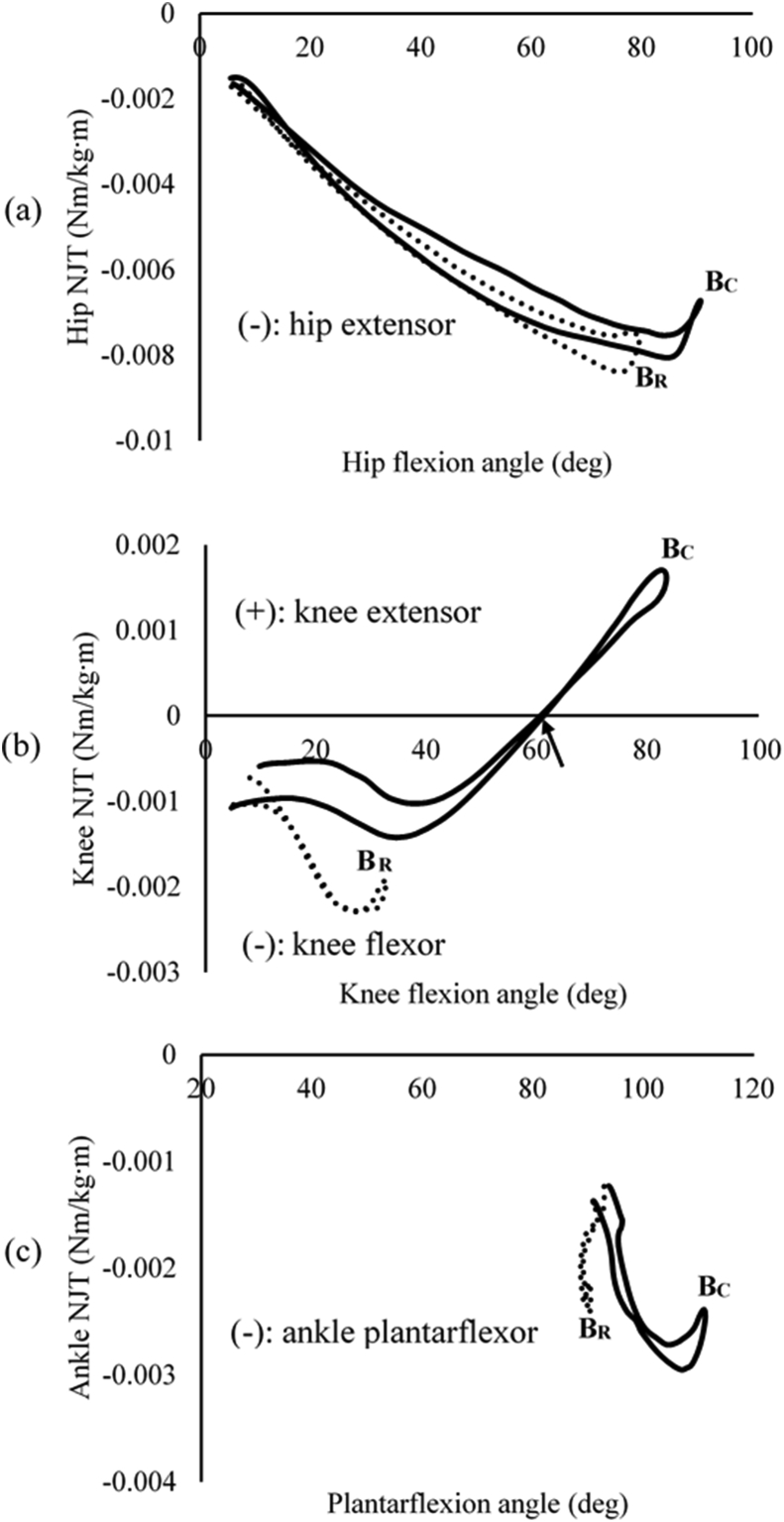 Fig. 3