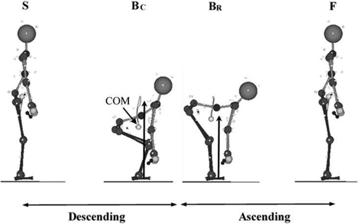 Fig. 2